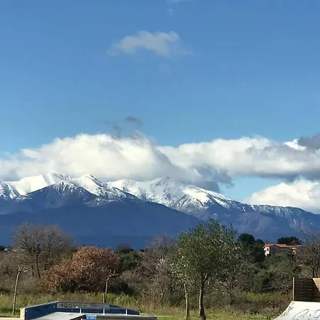 Fleur De Romarin Laroque-des-Albères